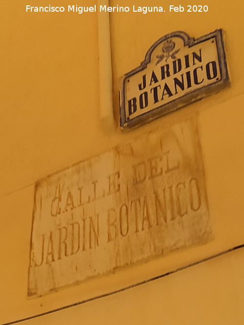 Calle Jard�n Bot�nico - Calle Jard�n Bot�nico. 