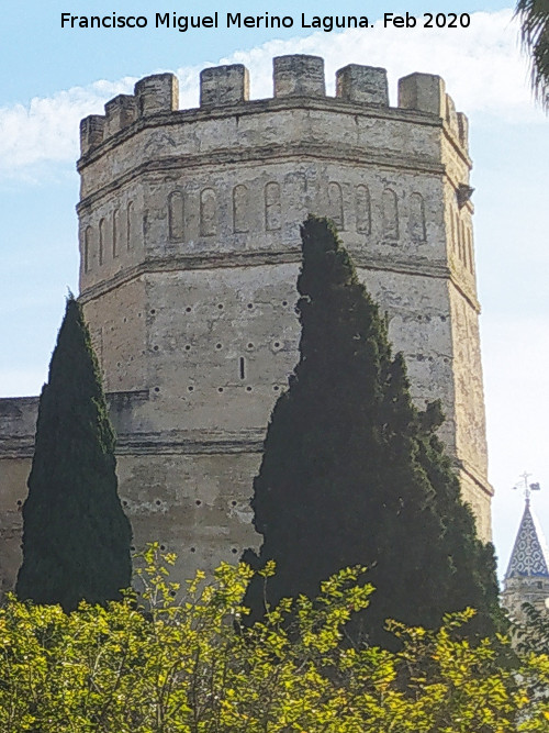 Alc�zar de Jerez. Torre Octogonal - Alc�zar de Jerez. Torre Octogonal. 