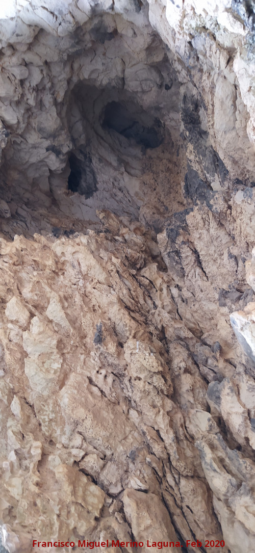 Cueva de la Cara - Cueva de la Cara. Ojos internos