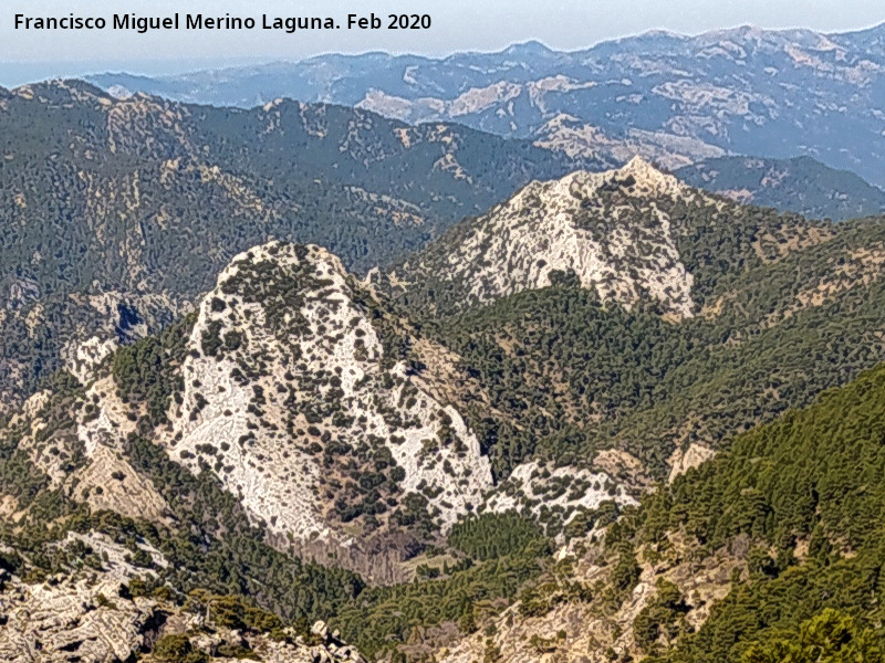 Cerro Navahonda - Cerro Navahonda. Ca�ada de las Fuentes y Navahonda desde la Loma de Cagasebo