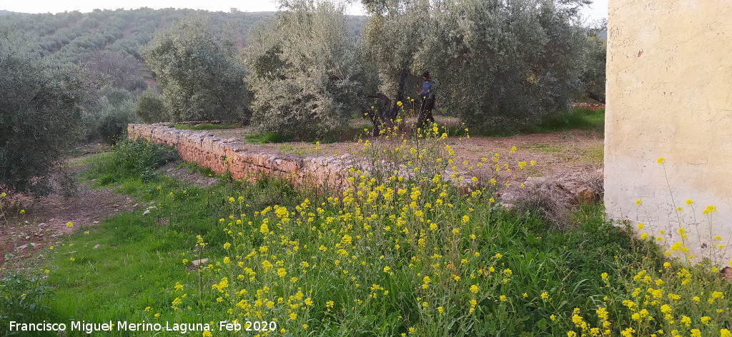 Cortijo de Capellan�as Peque�o - Cortijo de Capellan�as Peque�o. Pat�n
