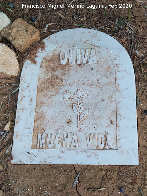 Cortijo del Camino de Capellan�as - Cortijo del Camino de Capellan�as. Tumba