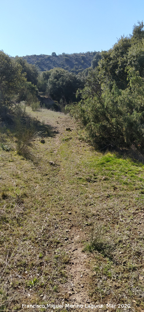 Ca�ada Real de Ja�n a Granada - Ca�ada Real de Ja�n a Granada. 