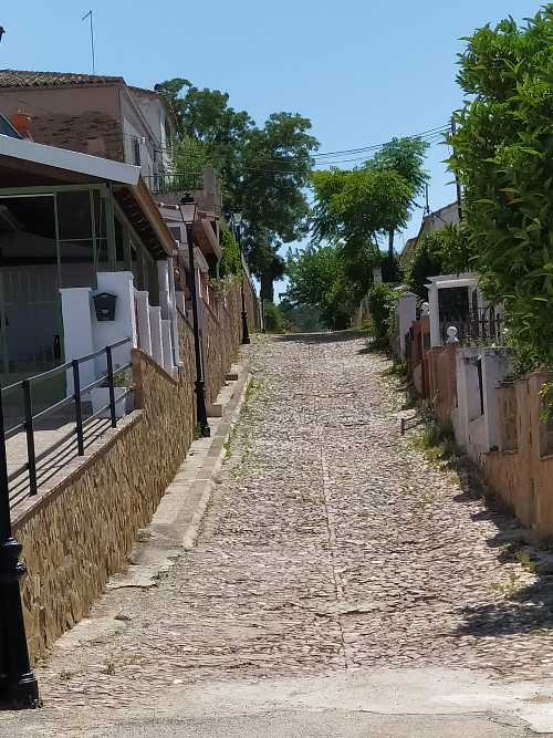 Calle La Pur�sima - Calle La Pur�sima. 