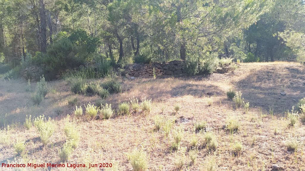 Era de la Huelga de los Olivos - Era de la Huelga de los Olivos. 