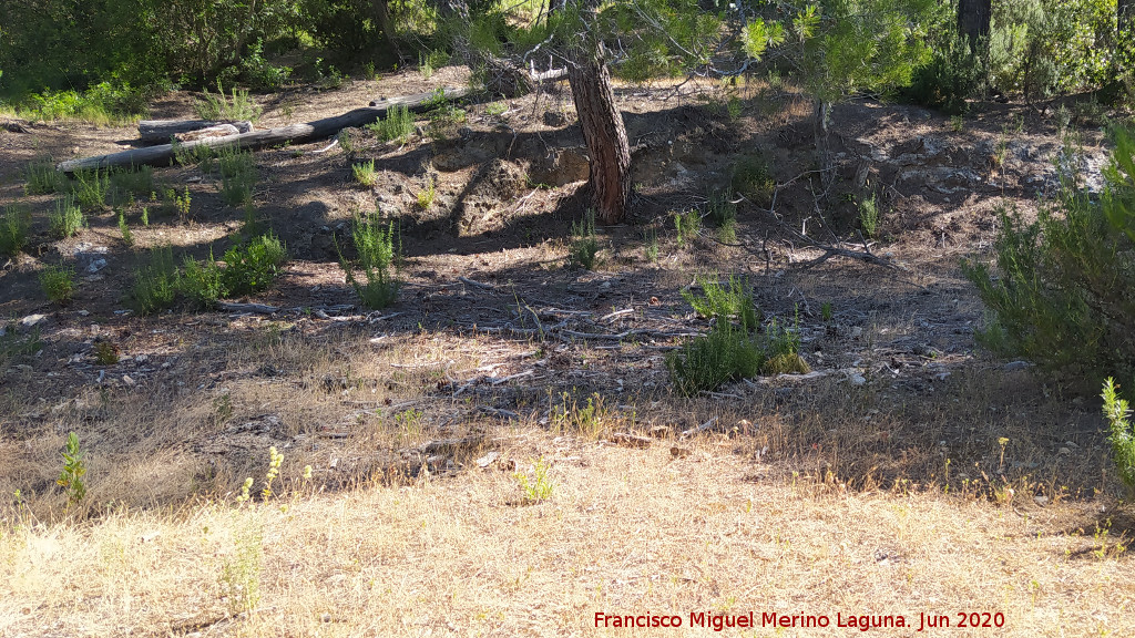 Era de la Huelga de los Olivos - Era de la Huelga de los Olivos. 