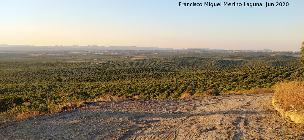 Camino de Fuente Nueva - Camino de Fuente Nueva. Vistas