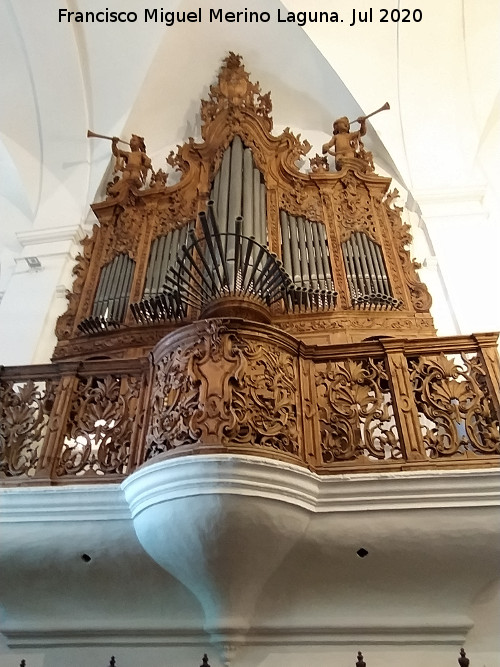 Iglesia de Santo Domingo de Guzm�n - Iglesia de Santo Domingo de Guzm�n. �rgano