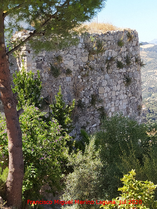 Torre de los Olivillos - Torre de los Olivillos. 