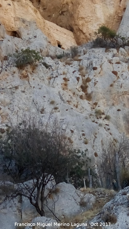 Cueva del Muralln - Cueva del Muralln. Plataforma con muros de mampostera desde la que subiran con escalas