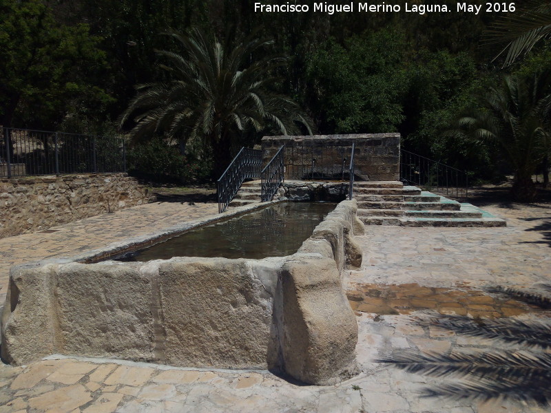 Fuente Nueva - Fuente Nueva. 