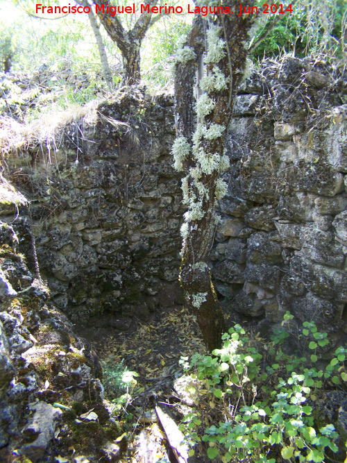 La Colonia - La Colonia. Habitculo