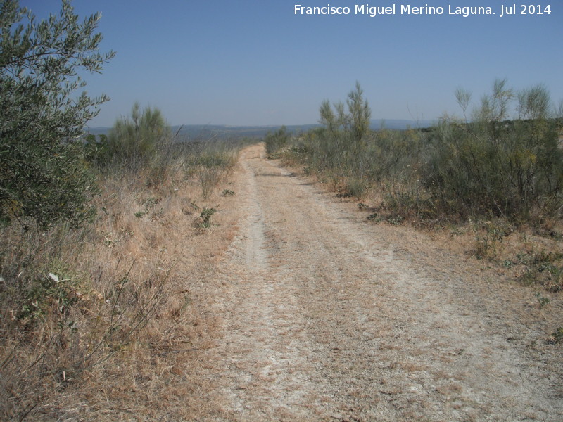 Va Baeza Utiel - Va Baeza Utiel. A su paso por el trmino de Villacarrillo