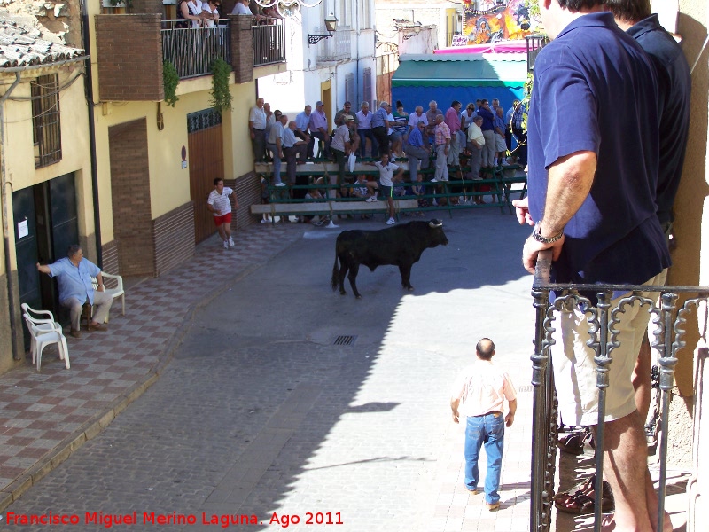 Encierros - Encierros. 