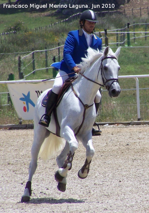 Caballo - Caballo. La Beata - Valdepeas