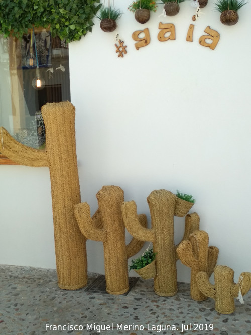Artesana del mimbre - Artesana del mimbre. Altea