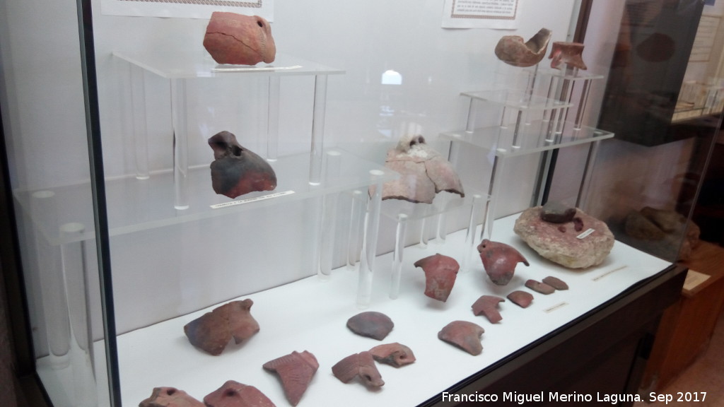 Museo Arqueolgico de Zuheros - Museo Arqueolgico de Zuheros. Vitrina