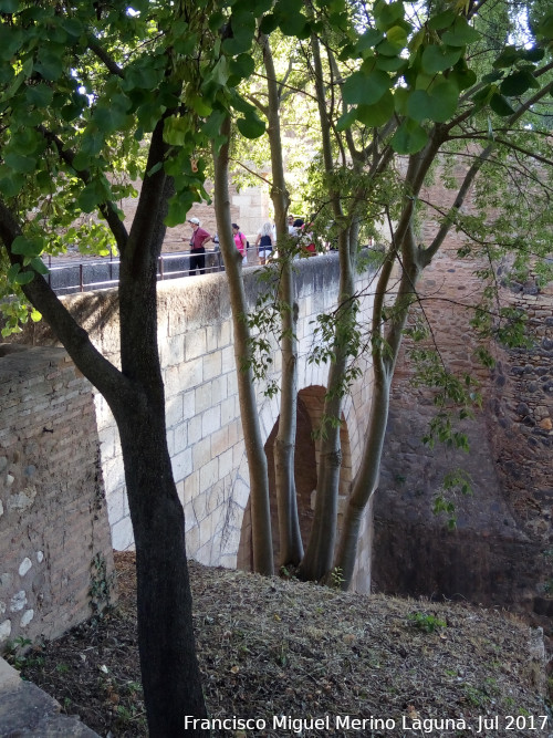 Alhambra. Puente del Generalife - Alhambra. Puente del Generalife. 