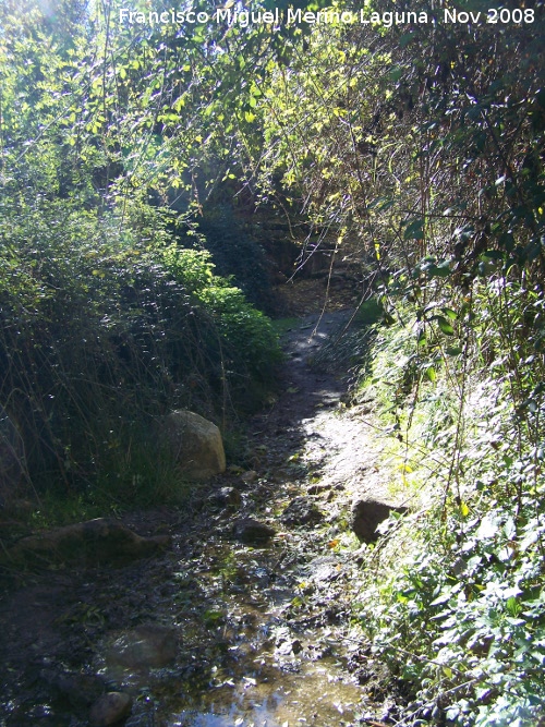 Camino del Ro Alhama - Camino del Ro Alhama. 