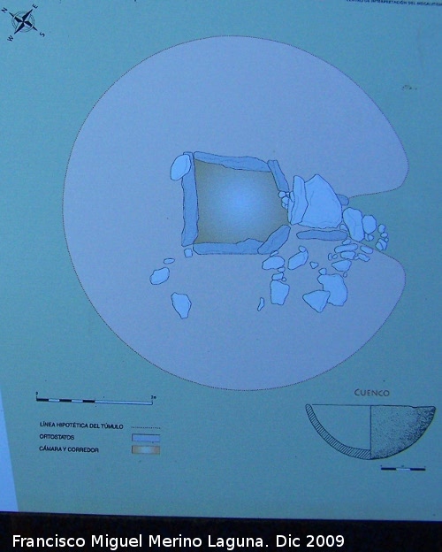 Dolmen 239 - Dolmen 239. Plano