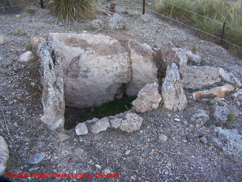 Dolmen 239 - Dolmen 239. 