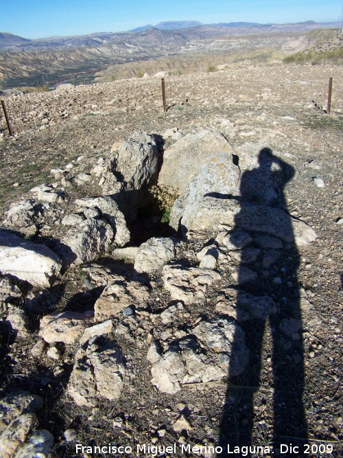 Dolmen 102 - Dolmen 102. 