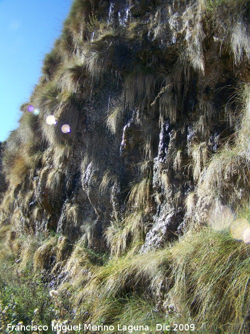 Acueducto del Toril - Acueducto del Toril. Paredes del acueducto