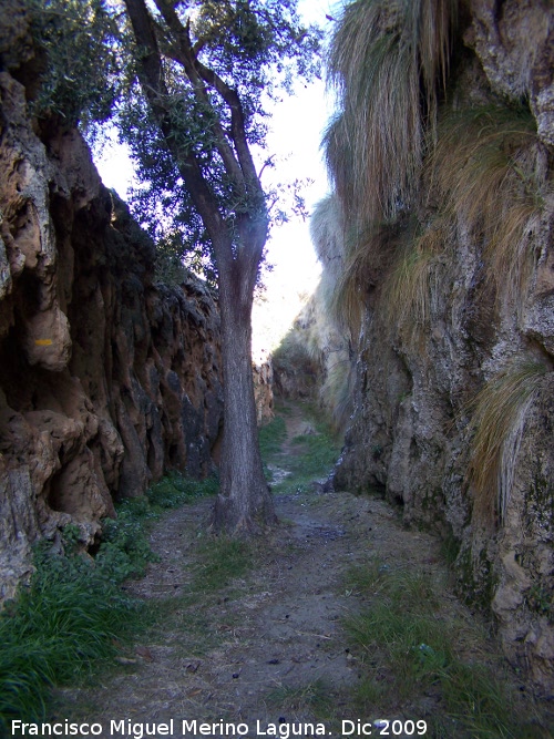 Acueducto del Toril - Acueducto del Toril. Toril