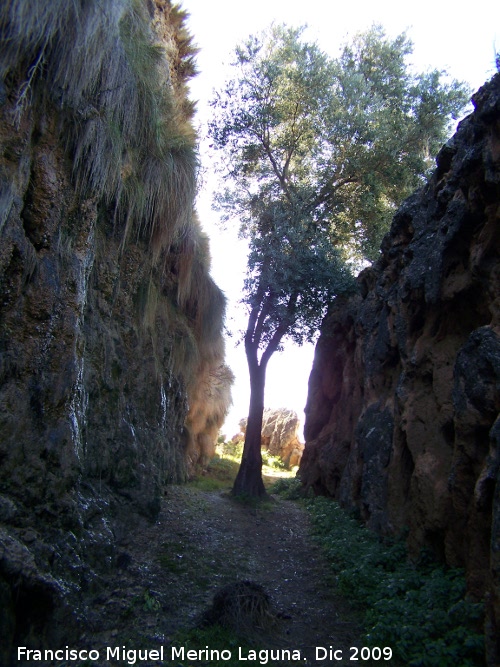 Acueducto del Toril - Acueducto del Toril. Toril