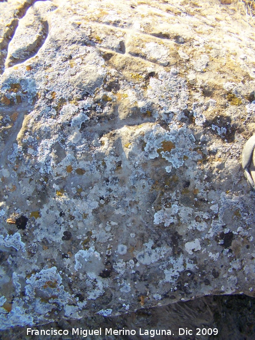 Petroglifos de Alicn de las Torres - Petroglifos de Alicn de las Torres. Antropomorfo bajo los smbolos