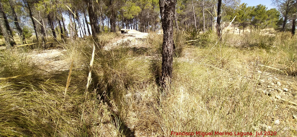 Dolmen XII - Dolmen XII. Dolmen XII en primer t�rmino y el Dolmen XI al fondo
