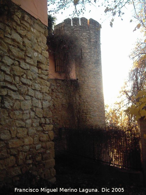 Murallas de Ronda - Murallas de Ronda. Torren