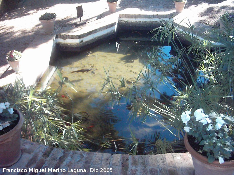 Jardines del Rey Moro - Jardines del Rey Moro. Estanque