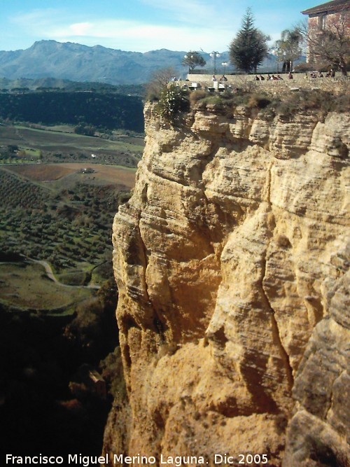 Tajo - Tajo. 