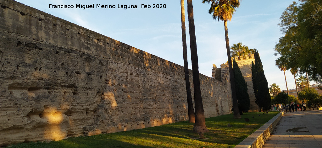 Alc�zar de Jerez - Alc�zar de Jerez. Muralla sur