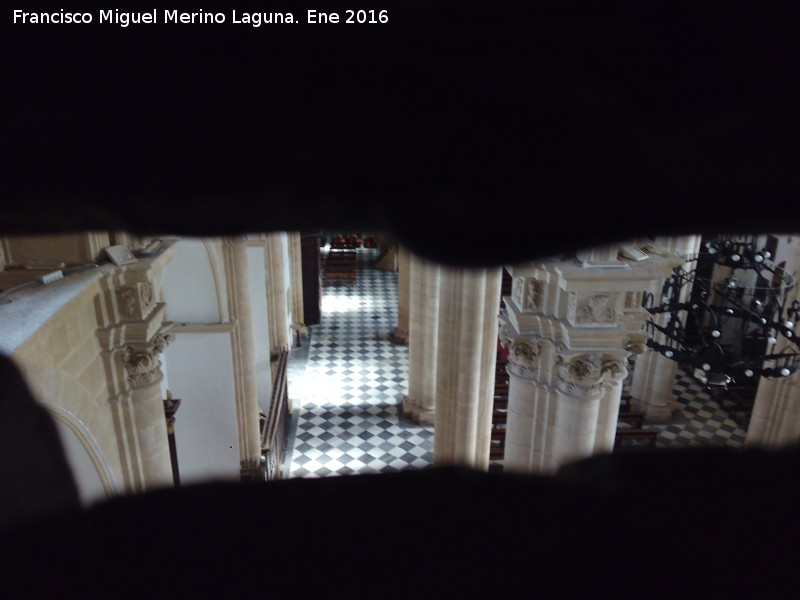 Catedral de Baeza. Interior - Catedral de Baeza. Interior. Desde la parte alta