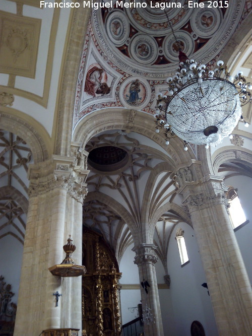 Catedral de Baeza. Interior - Catedral de Baeza. Interior. Bvedas