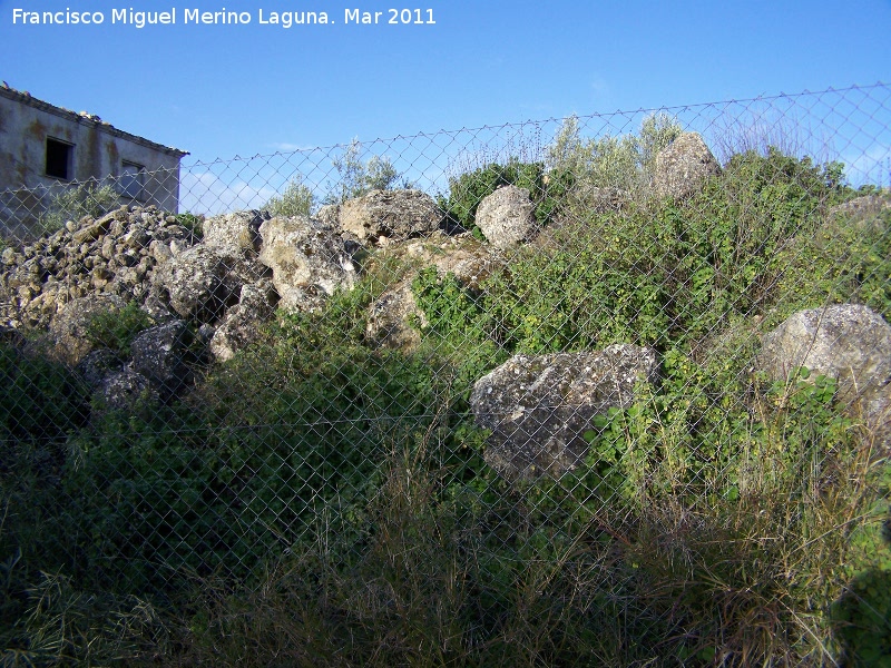 Oppidum de Torrevieja - Oppidum de Torrevieja. Muralla ciclpea este