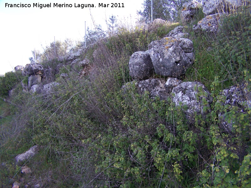 Oppidum de Torrevieja - Oppidum de Torrevieja. Muralla ciclpea oeste