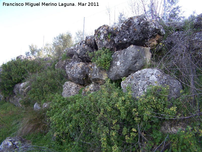 Oppidum de Torrevieja - Oppidum de Torrevieja. Muralla ciclpea oeste