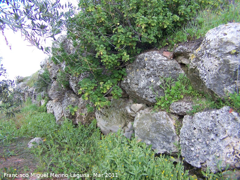 Oppidum de Torrevieja - Oppidum de Torrevieja. Muralla ciclpea oeste