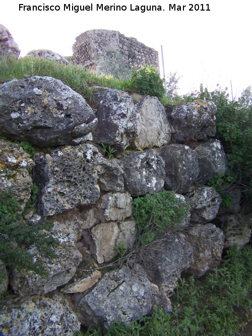 Oppidum de Torrevieja - Oppidum de Torrevieja. Muralla ciclpea oeste con la torre al fondo