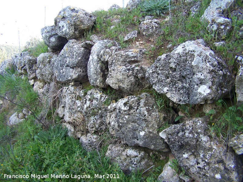 Oppidum de Torrevieja - Oppidum de Torrevieja. Muralla ciclpea oeste