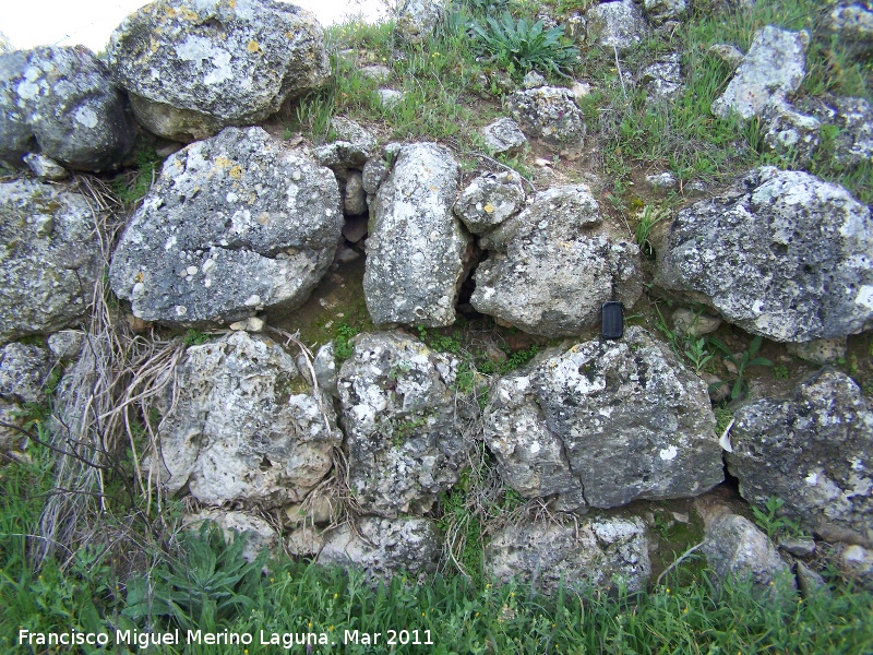 Oppidum de Torrevieja - Oppidum de Torrevieja. Muralla ciclpea oeste