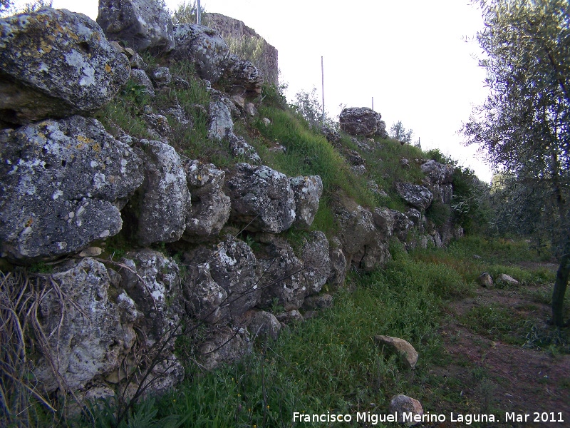 Oppidum de Torrevieja - Oppidum de Torrevieja. Muralla ciclpea oeste