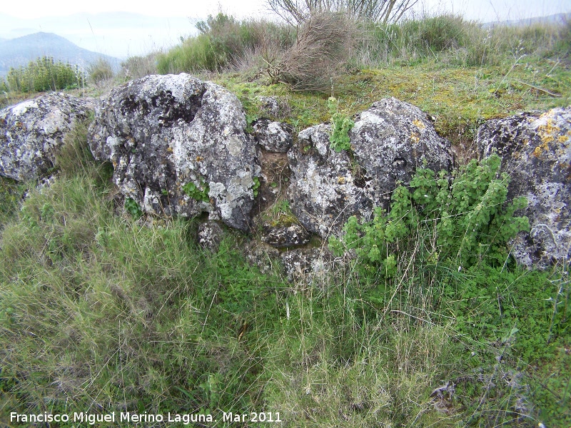 Oppidum del Cerro Algarrobo - Oppidum del Cerro Algarrobo. Muralla ciclpea