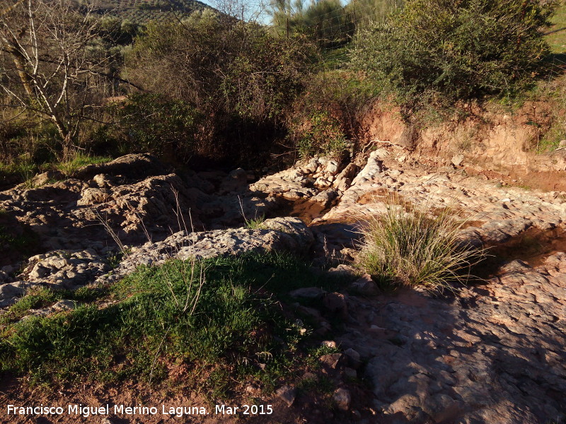 Arroyo de las Navas - Arroyo de las Navas. El Colmenarejo