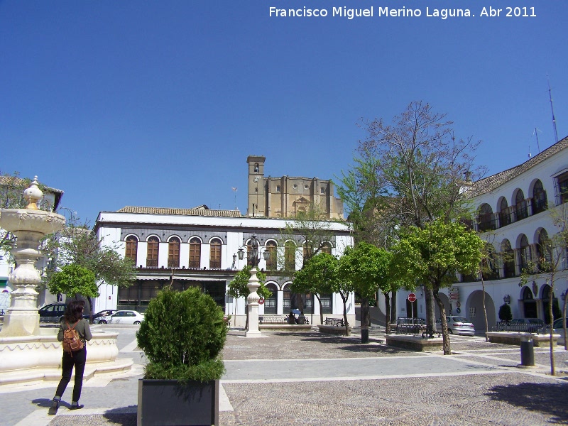 Plaza Mayor - Plaza Mayor. 