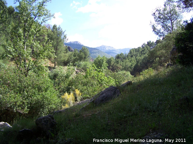 Monte Carluca - Monte Carluca. 