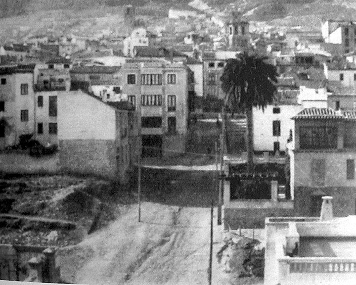 Palmera del Rey Alhamar - Palmera del Rey Alhamar. Foto antigua